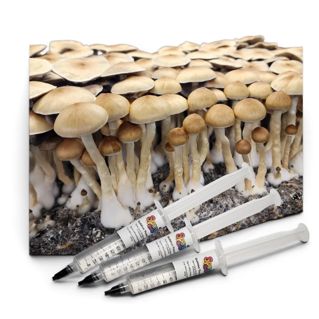 Amazonian Spore Syringe