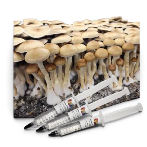 Amazonian Spore Syringe