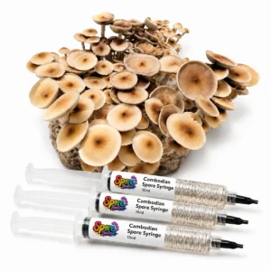 Cambodian Spore Syringe Sb 1