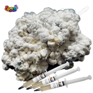 Enigma isolated spore syringe with mushroom spores for microscopy and collector reference