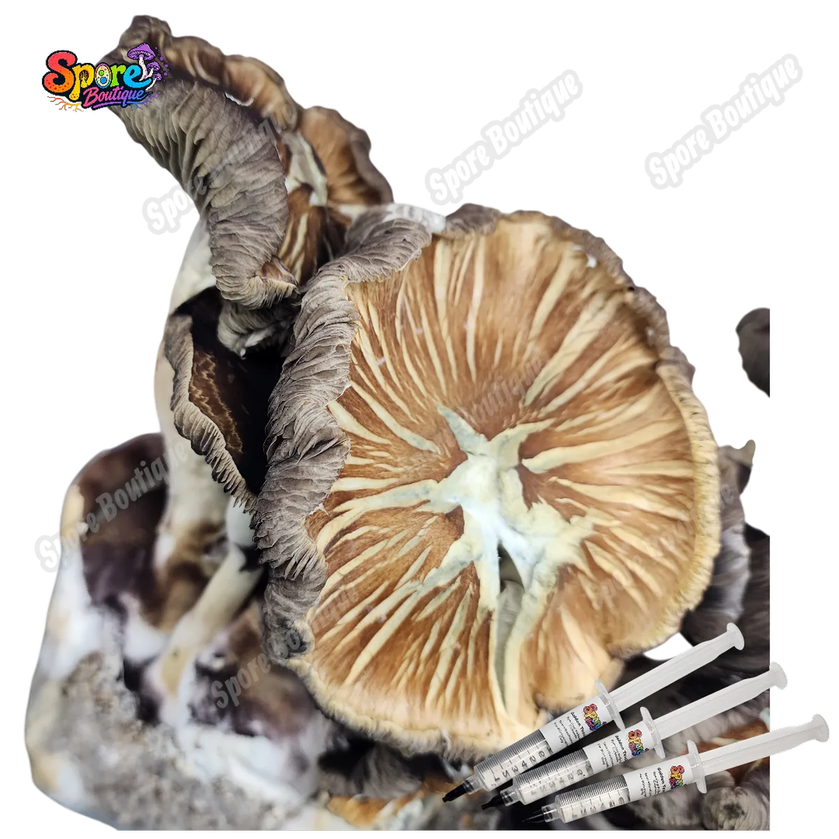 Jedi Mind Fuck Spore Syringe