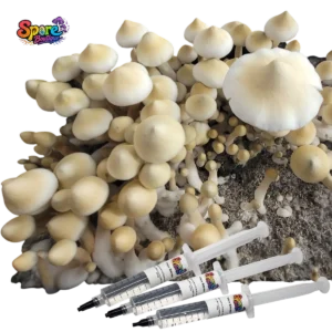 Leucistic A+ Spore Syringe 2 Sb-2