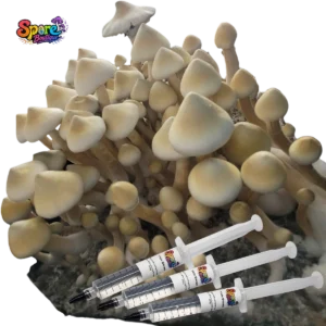 Buy Leucistic A+ Spore Syringe at Spore Boutique