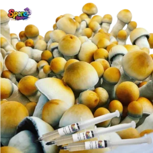 Penis Envy Isolated Spore Syringe Sb 3