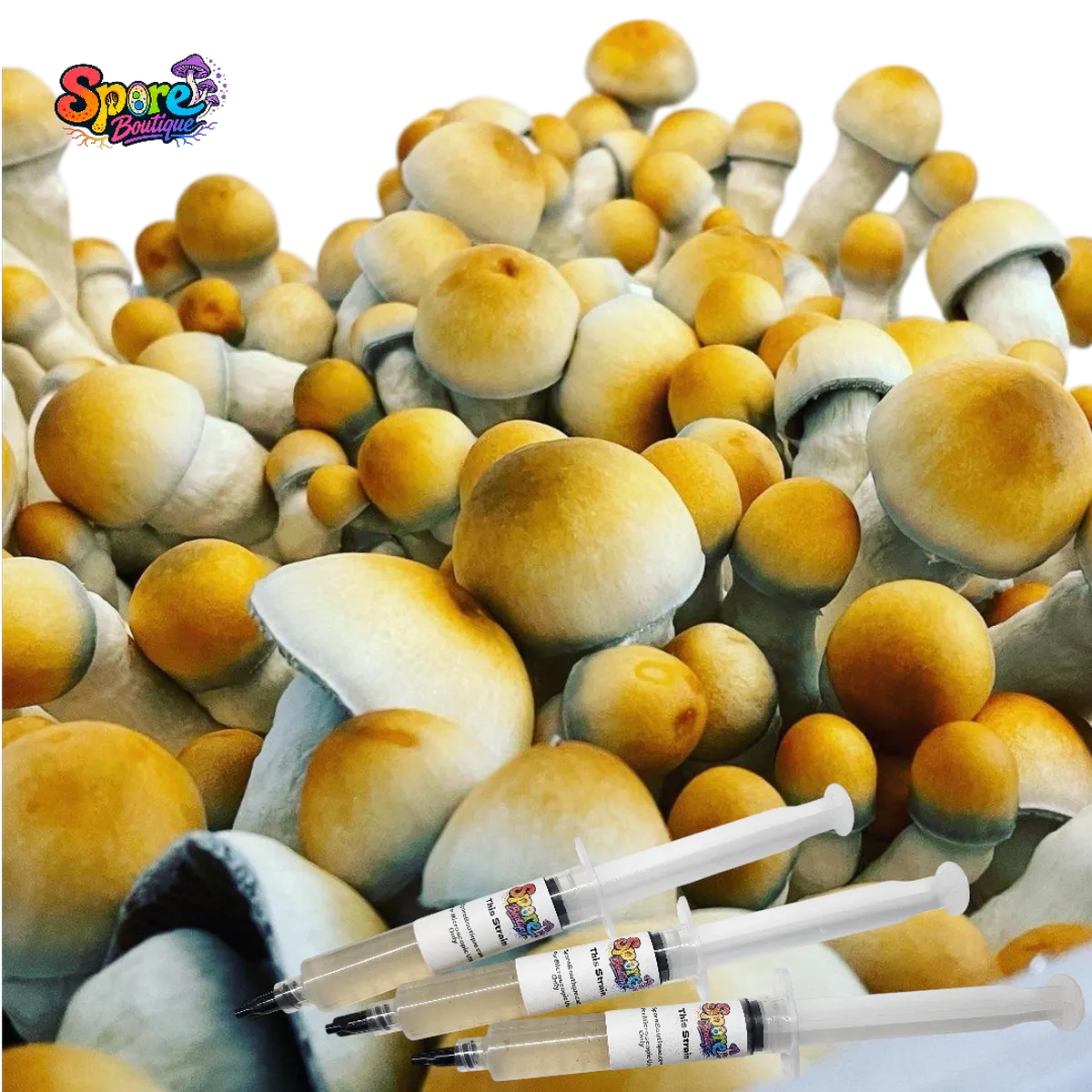 Penis Envy Isolated Spore Syringe - Image 2