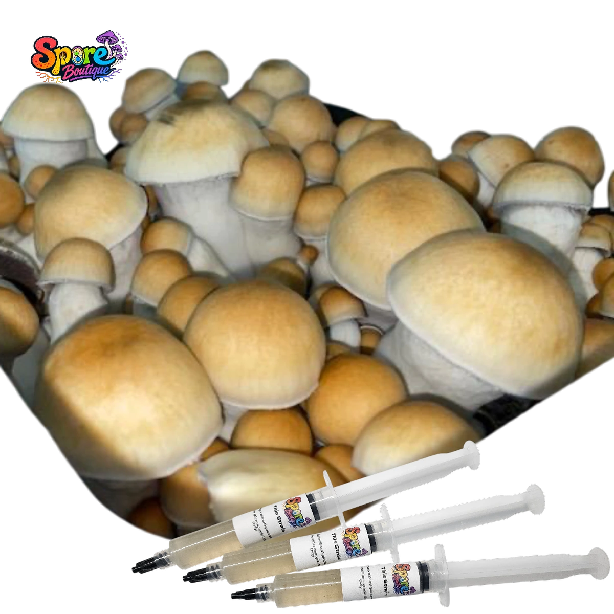 Penis Envy Isolated Spore Syringe - Image 4