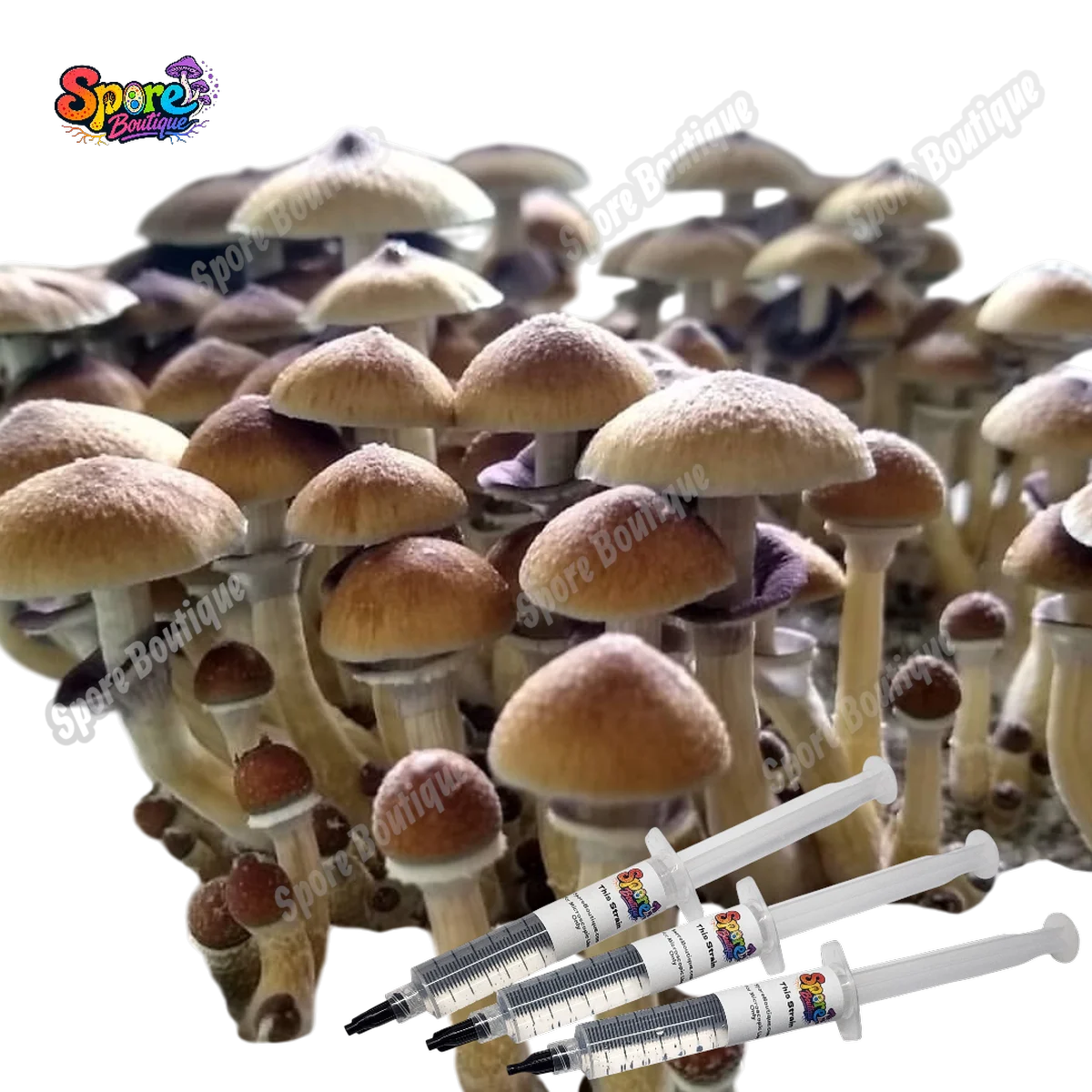 Stargazer Spore Syringe - Image 2